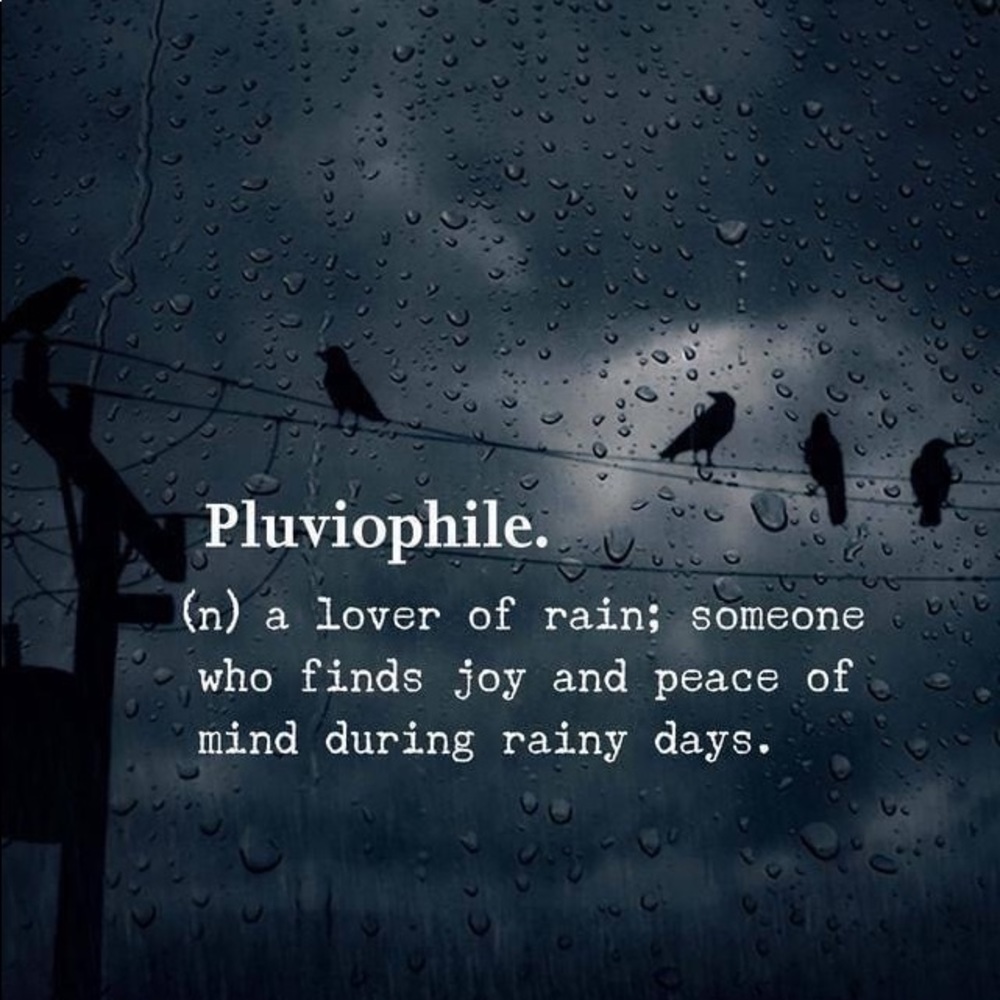 Meet your Posher, LinLin